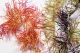 Super Stretch Hackle