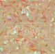 Knapek magic shrimp foil