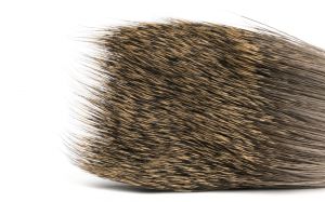 	Deer hair 