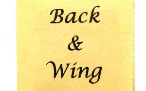  FINE BACK WING FOIL