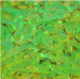 Knapek magic shrimp foil